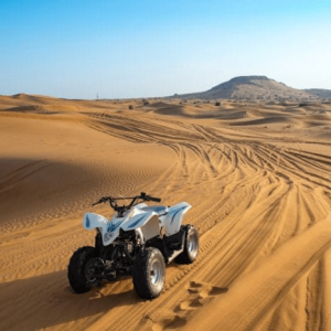 Desert Safari Tours