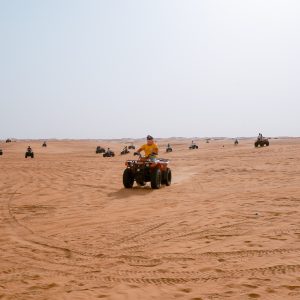Desert Safari Tours